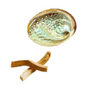 Hausreinigung: Räucher-Starter-Set - Palo Santo Stücke mit Räuchermuschel