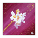 Kraftbild: Mallorcas zarte Mandelblüten