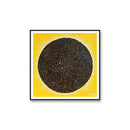 SonnenFinsternis-Kraft August 2026