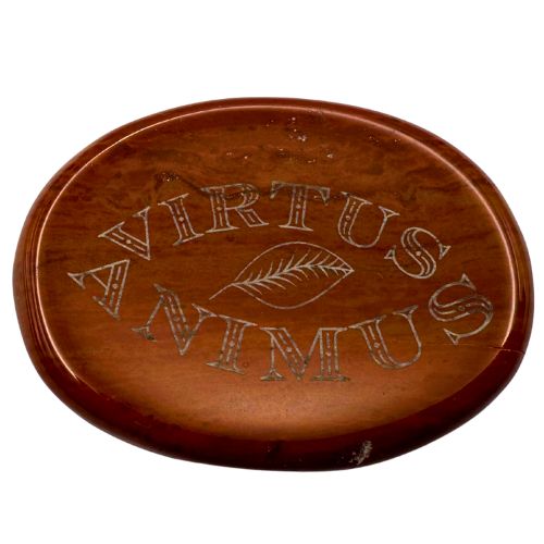 Mutstein FAMA - Virtus Animus