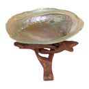 Abalone Muschel, Räucherschale mittel (12cm)