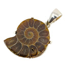 Ammonit Anhänger 925 Silber Fassung