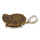 Ammonit Anhänger 925 Silber Fassung