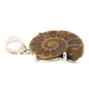 Ammonit Anhänger 925 Silber Fassung