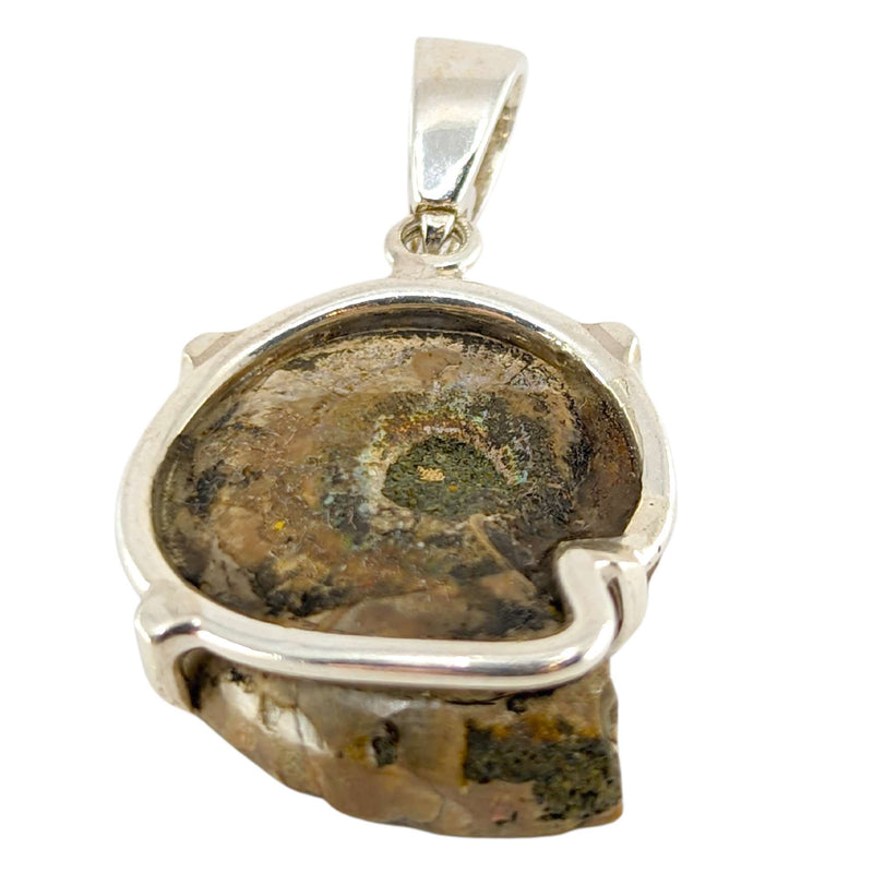 Ammonit Anhänger 925 Silber Fassung