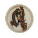 Baldrian Räucherwurzel (Valeriana)