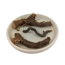 Baldrian Räucherwurzel (Valeriana)