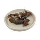 Baldrian Räucherwurzel (Valeriana)