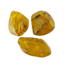 Bernstein Trommelstein XL (4 cm)