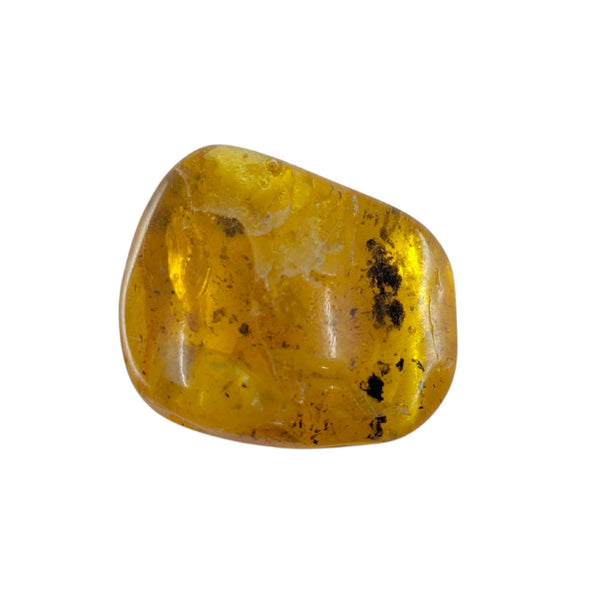 Amber Tumbled Stone XL (4x3cm)