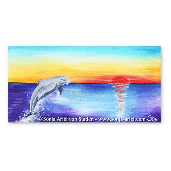 Delfinbild: Delfin im Sonnenuntergang