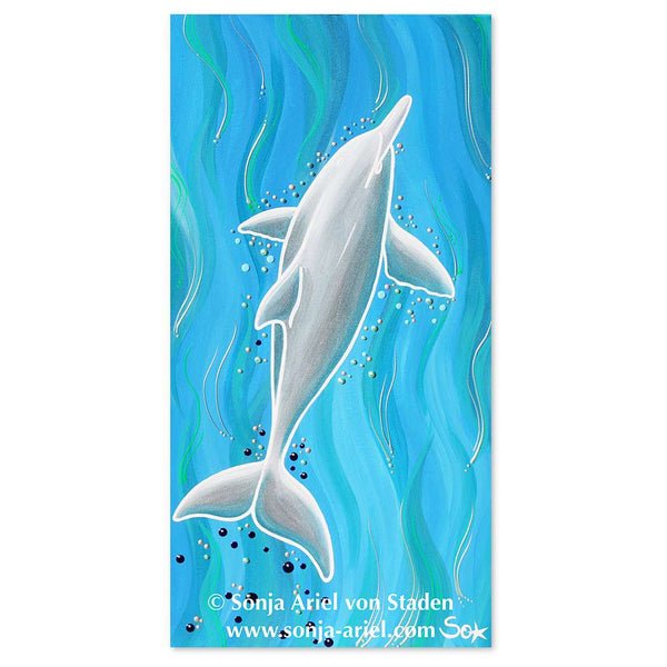 Delfinbild: Entspannter Delfin
