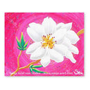 Mandelblüten-Zauber - Originalbild von Sonja Ariel von Staden