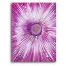 Herzbild: Pure HerzEnergie