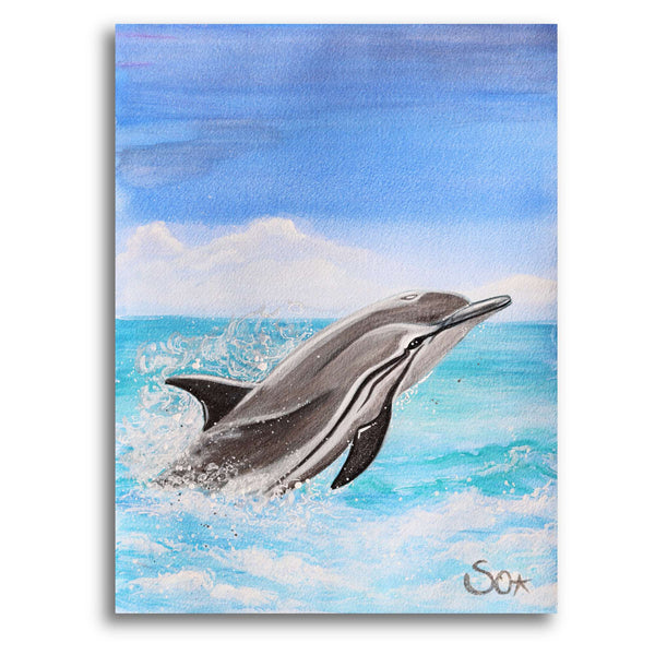 Delfinbild: Delfin der entspannten Lebensfreude