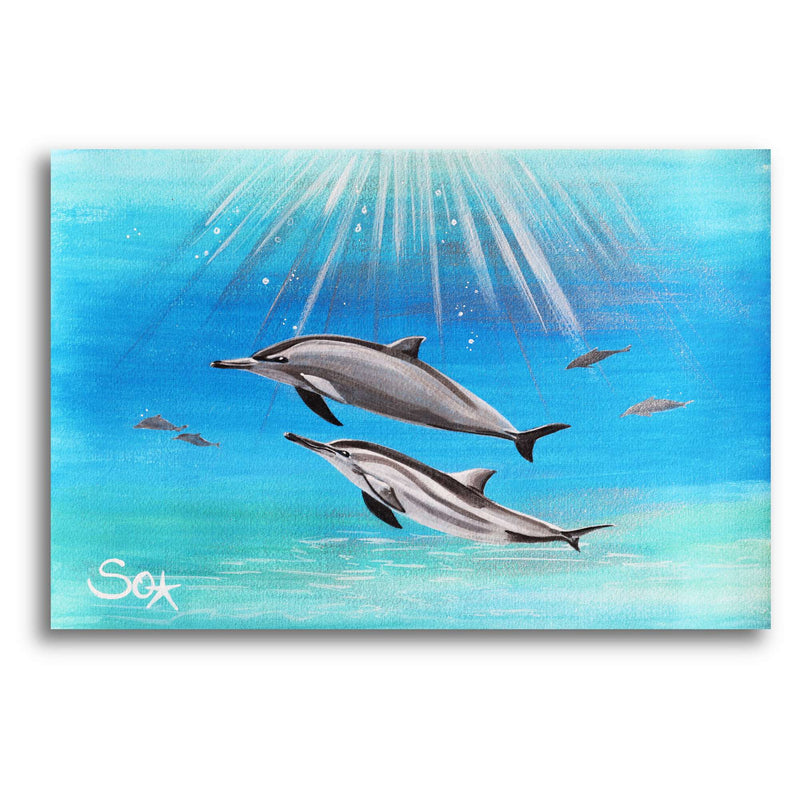 Delfinbild: Delfin-LiebesPaar
