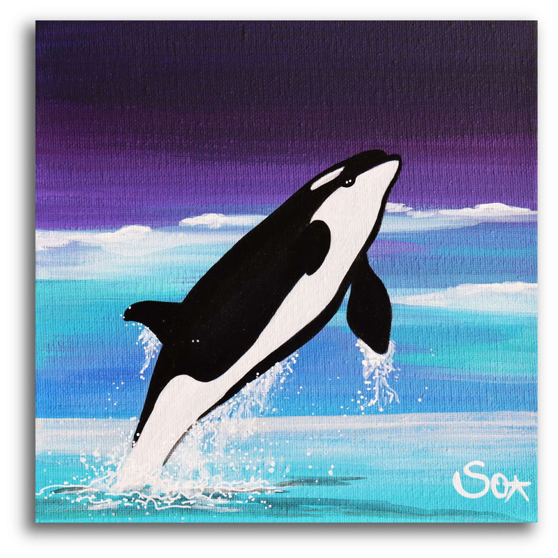 Delfinbild: Springender Orca