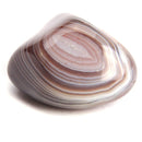 aqasha® Edelstein Achat - Trommelstein (3,5x3,5x3,5 cm)