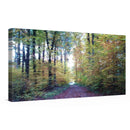 Alexander Kopitkow Kunstdruck Leinwand / 60x30 cm Kraftbild: Floating Wood - Kunstdruck