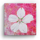 Sonja Ariel von Staden Kunstdruck Leinwand / 20x20 cm Kraftbild: Ibiza Mandelblüte - Kunstdruck