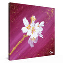 Sonja Ariel von Staden Kunstdruck Leinwand / 20x20 cm Kraftbild: Mallorcas zarte Mandelblüten - Kunstdruck