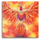 Sonja Ariel von Staden Kunstdruck Poster / 50x50 cm Kraftbild: Phönixkraft - Kunstdruck