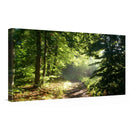 Alexander Kopitkow Kunstdruck Leinwand / 60x30 cm Kraftbild: Powerwood - Kunstdruck