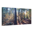 Alexander Kopitkow Kunstdruck Leinwand / 60x30 cm Kraftbild: Woodlight - Kunstdruck