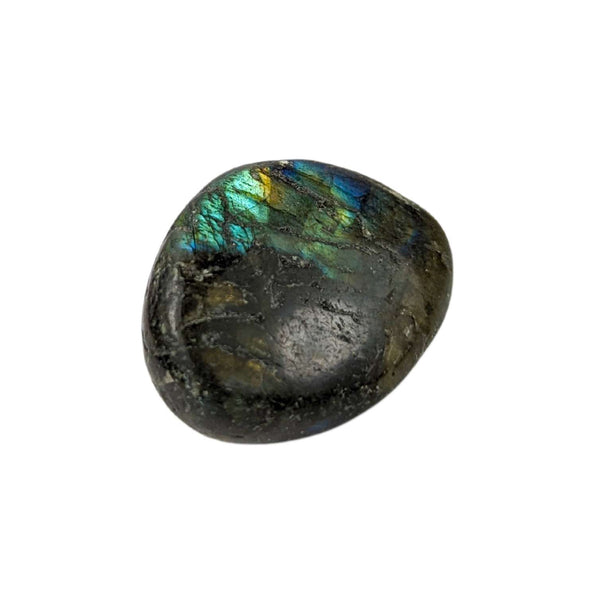 Labradorit Trommelstein (2cm)