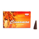 Darshan Räucherkegel Räucherkegel von Darshan "Zimt"