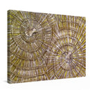 Jasmine Zaunschirm Kunstdruck Leinwand / 40x30 cm Urkraft - Kunstdruck